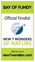 Official Finalist of the New 7 Wonders of Nature